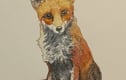 Watercolour prints 