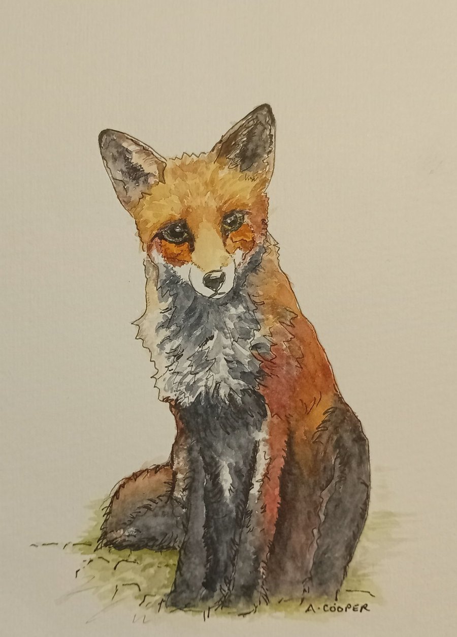 ,MR FOX,An original watercolour and fine liner, PRINT,