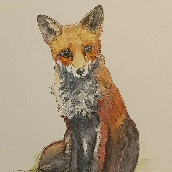 ,MR FOX,An original watercolour and fine liner, PRINT,
