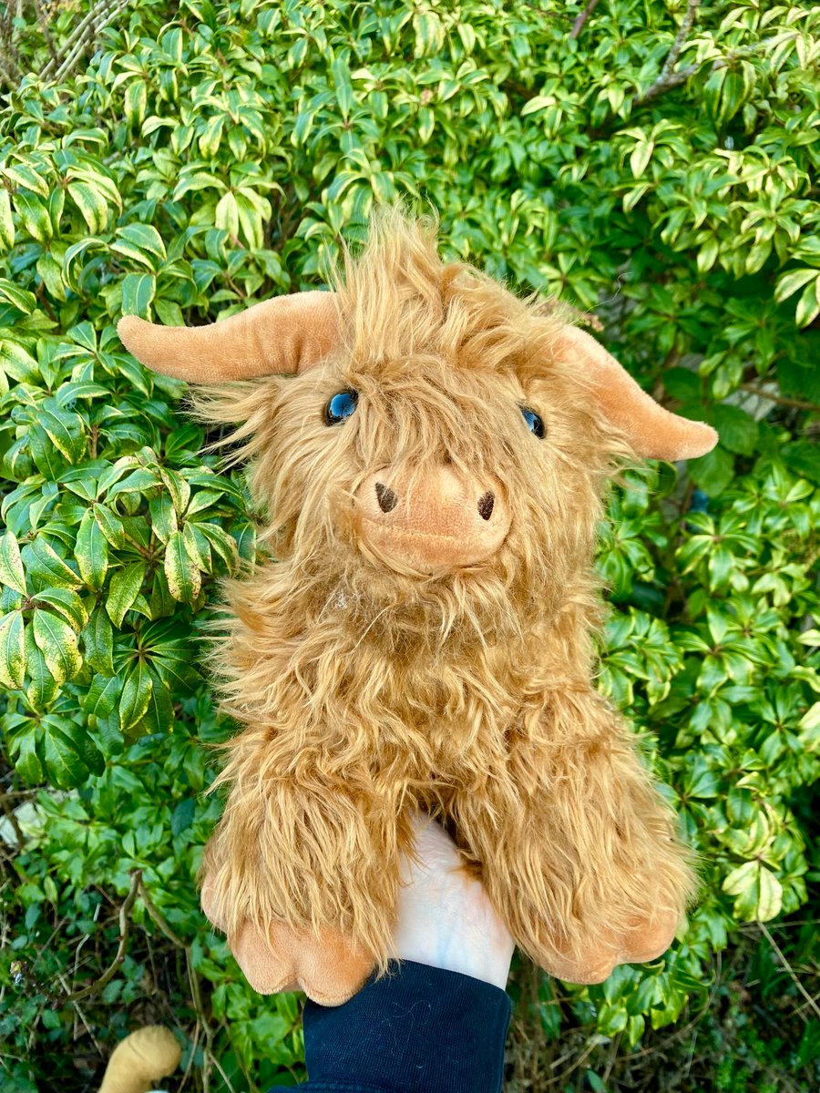 4lb Weighted Highland Plush Toy