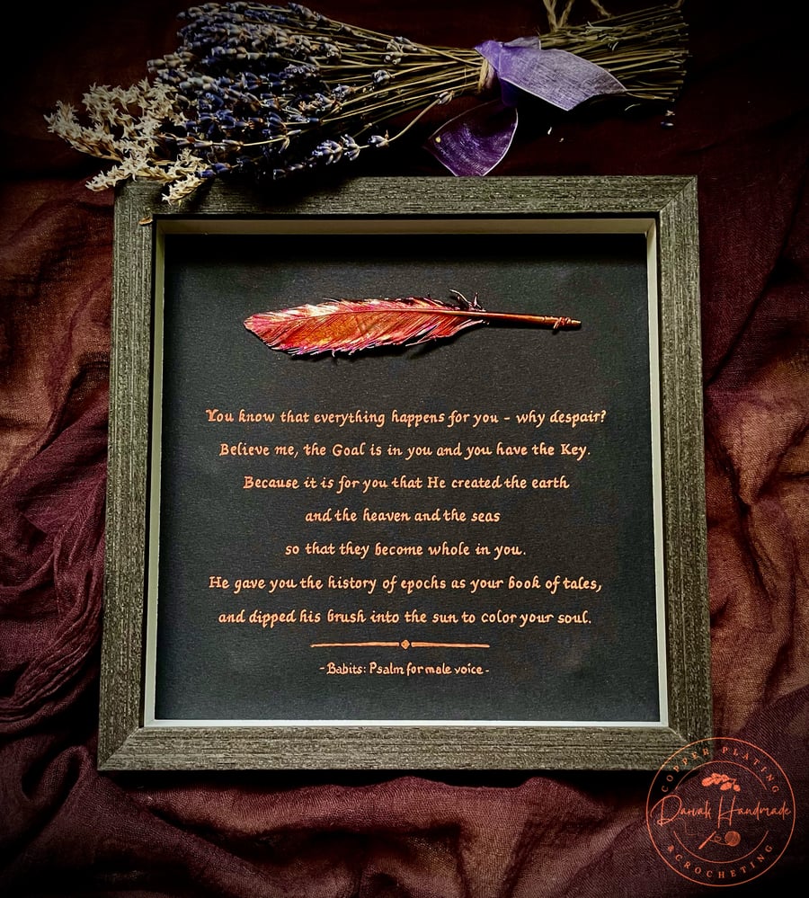 Copper Plated Real Dove Feather In A Black Wooden Frame