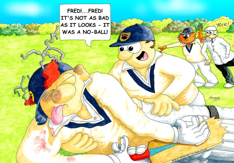 Cricket get well soon card NO BALL. FREE UK P&P