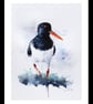 Oystercatcher, Professional Giclée Print. - Image 2