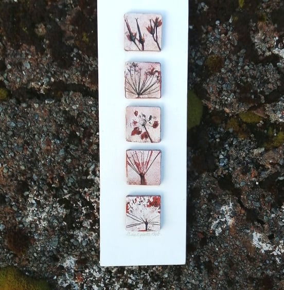 Patterns in Nature, Geranium and Ground Elder