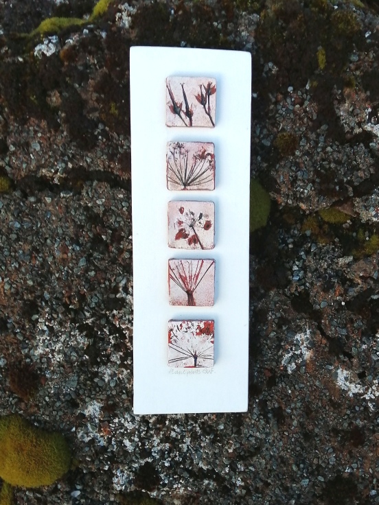 Patterns in Nature, Geranium and Ground Elder