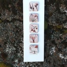 Patterns in Nature, Geranium and Ground Elder