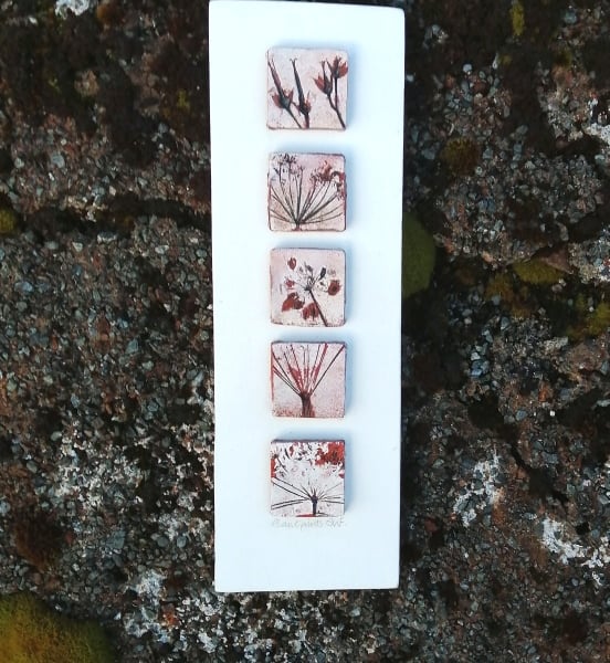 Patterns in Nature, Geranium and Ground Elder