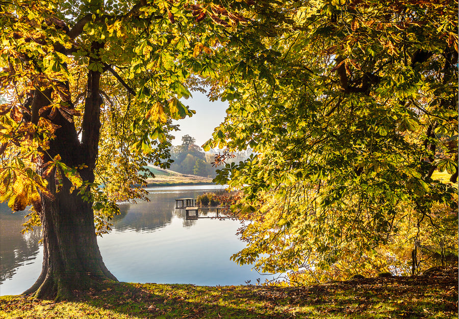 Bowood English country garden autumn landscape lake trees FREE UK SHIPPING!