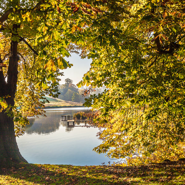 Bowood English country garden autumn landscape lake trees FREE UK SHIPPING!