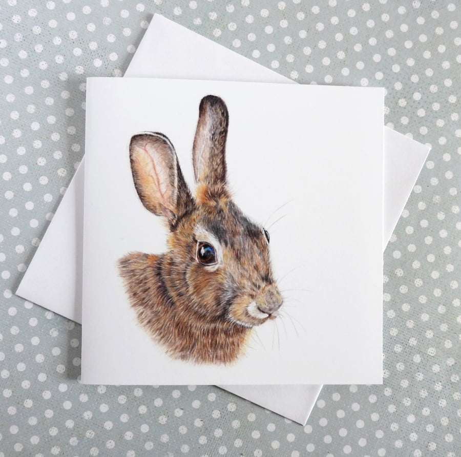 Rabbit Card, Bunny Greetings