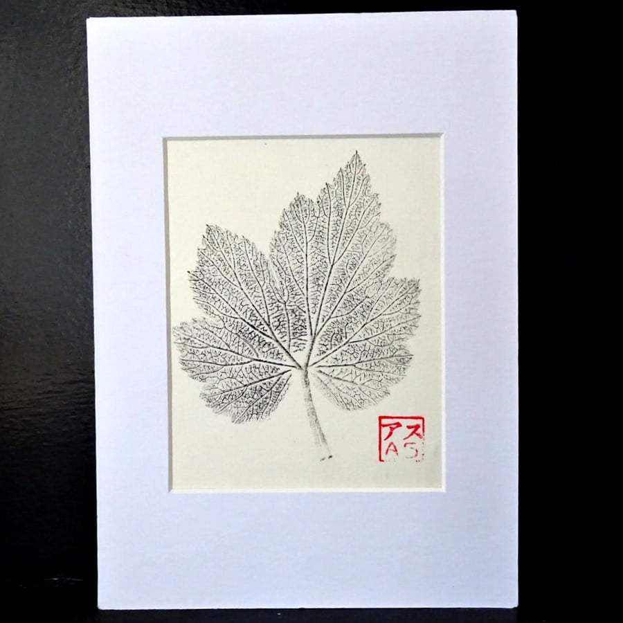 Botanical Original Print - Japanese Anemone - Leaf 