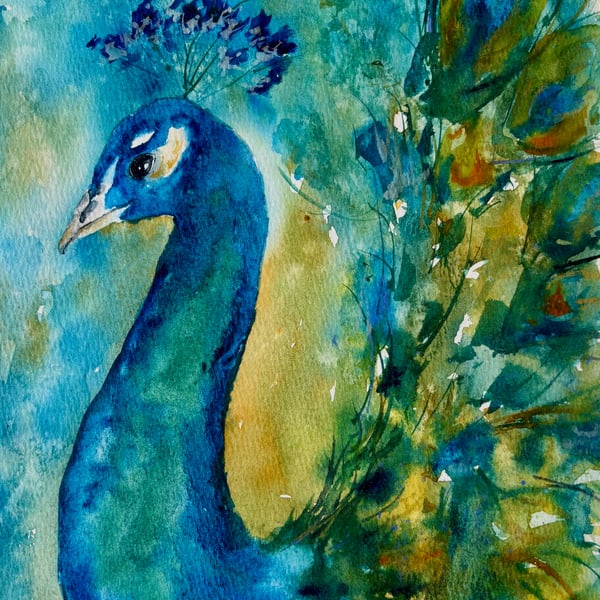 Proud as a Peacock