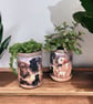 Grow your own herbs gift set indoor house planters Labrador and puppies edition - Image 3
