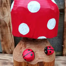 Round Top Toadstool