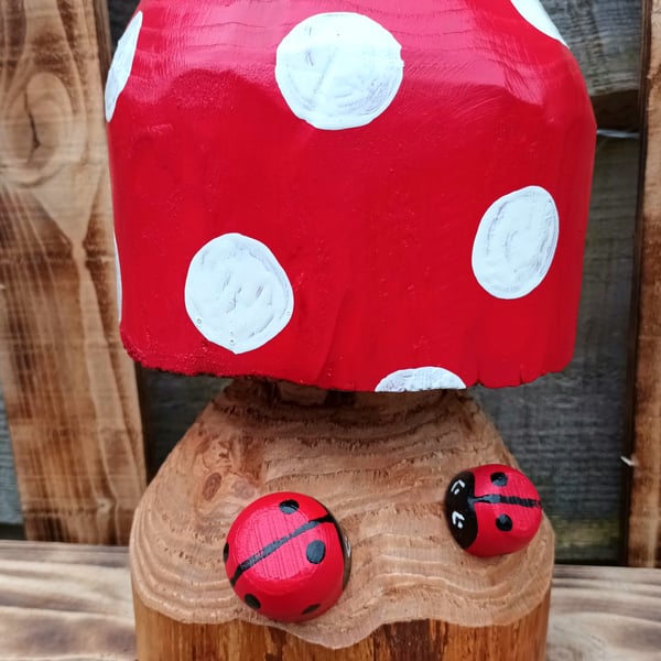 Round Top Toadstool