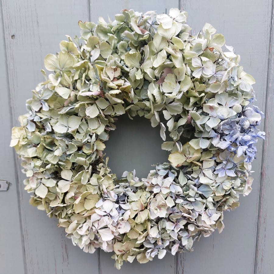 Dried Hydrangea Wreath. Pale Green. Handmade. 28cm Diameter 