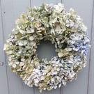 Dried Hydrangea Wreath. Pale Green. Handmade. 28cm Diameter 