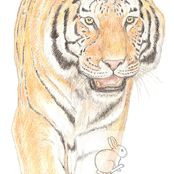 Tiger -  Father's Day Card