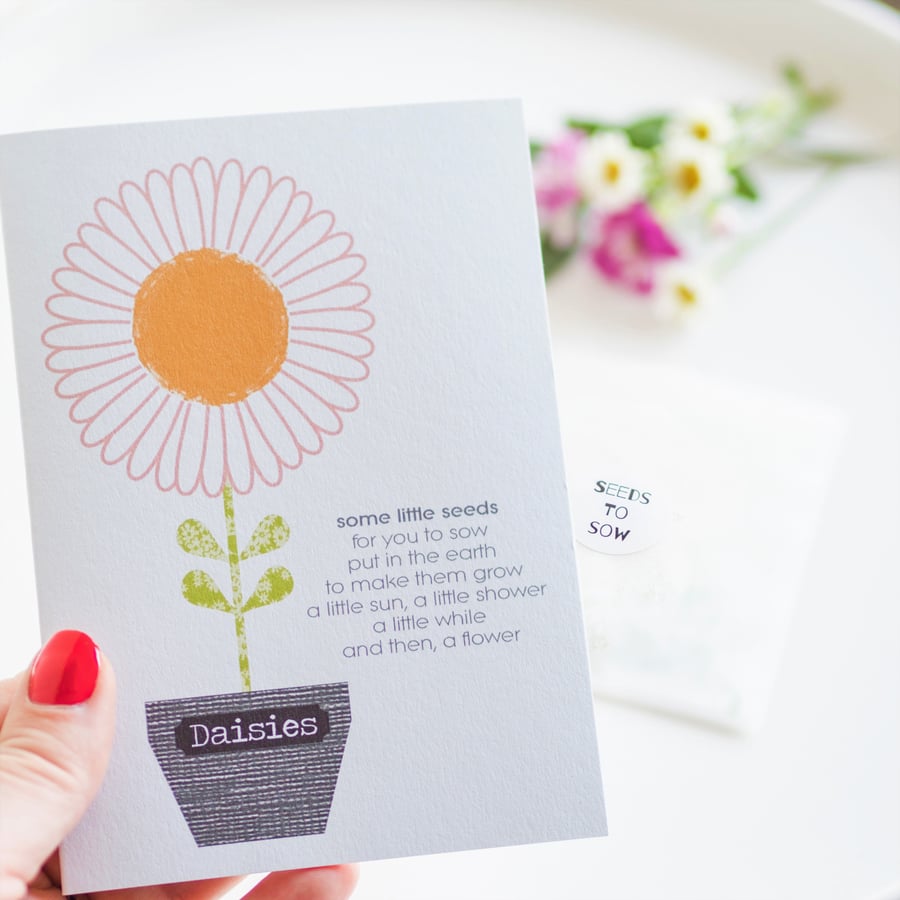 Daisy Greetings Card - Daisy Seeds - Birthday Card - Blank Card - Thank you Card