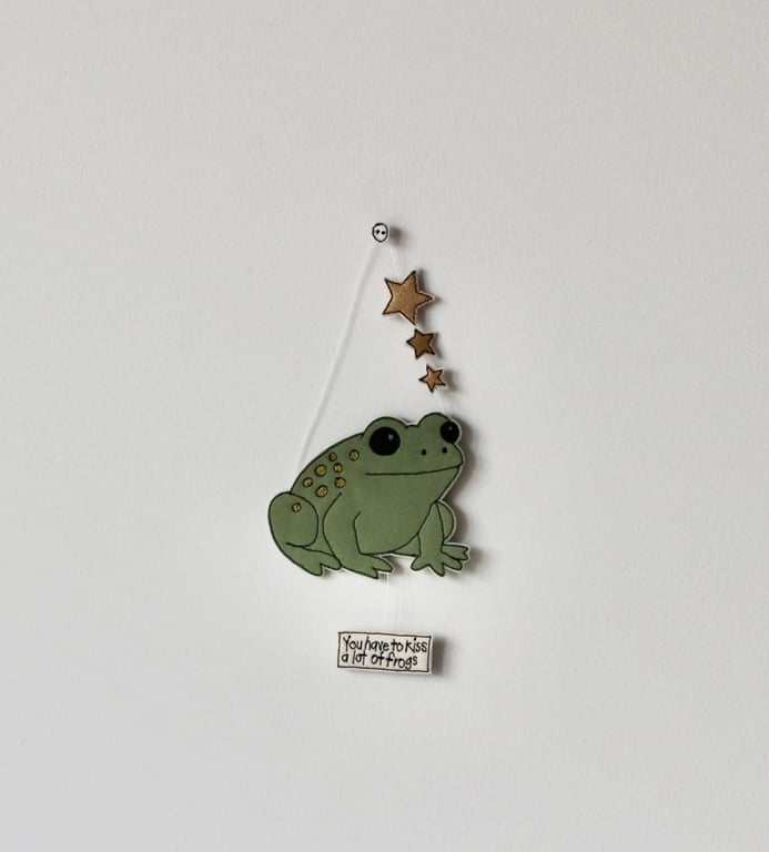 'You have to Kiss a lot of Frogs' - Hanging Decoration