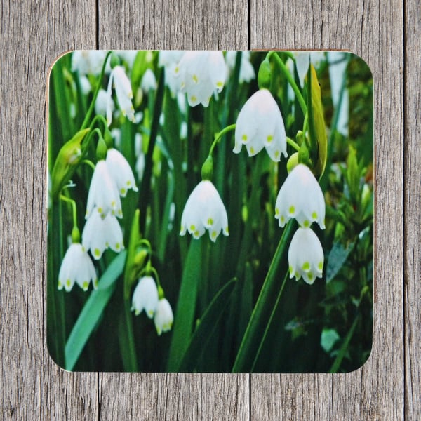 Coasters.  Spring Snowdrops. Photo image cork backed.