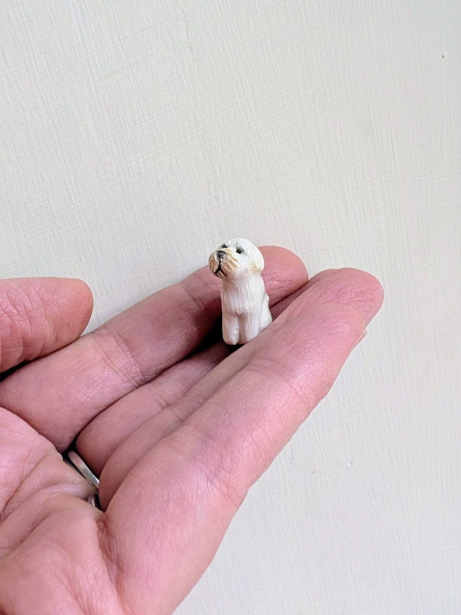 Private Order Bespoke Dog for Sarah