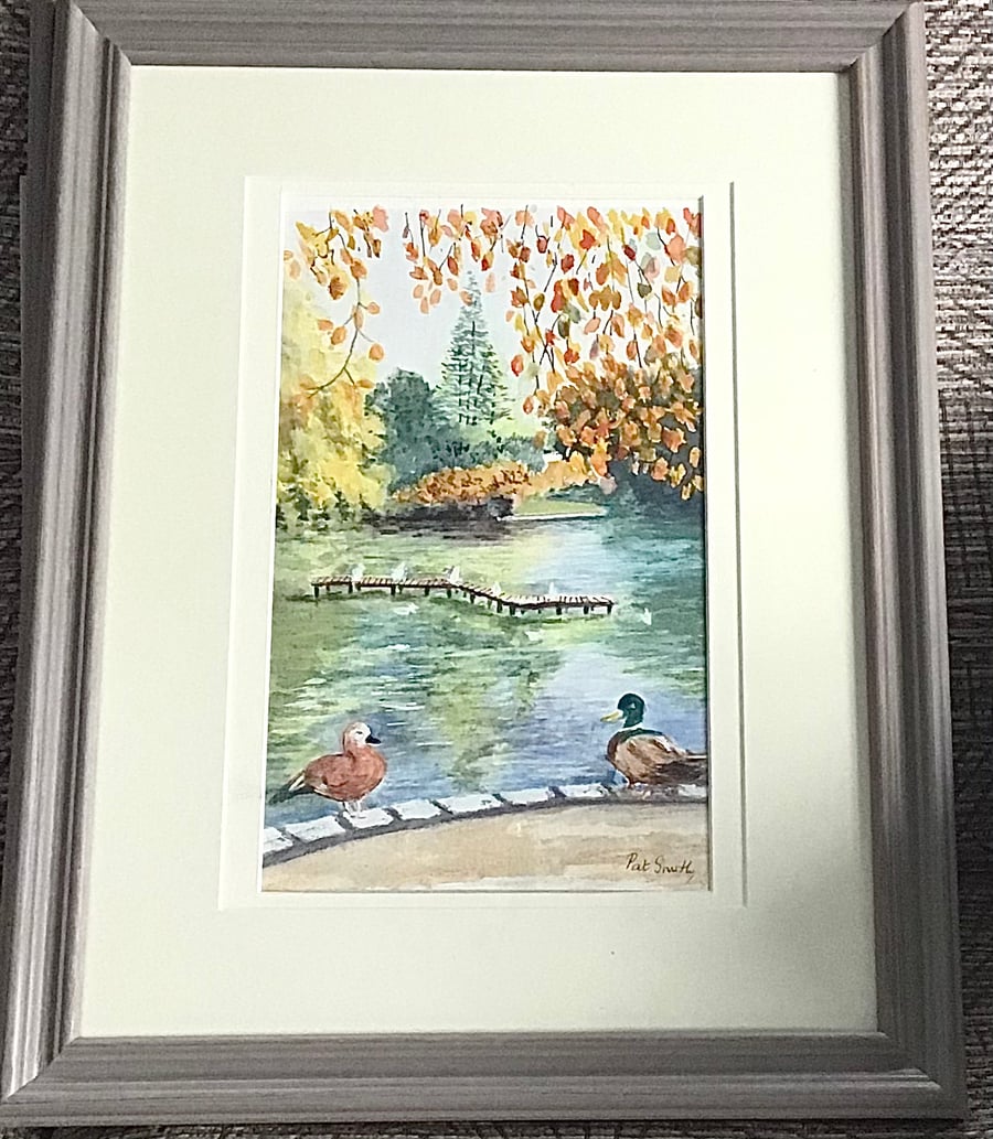 Original Watercolour, Ducks in the Park, Mounted and Framed Watercolour