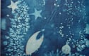Cyanotype 