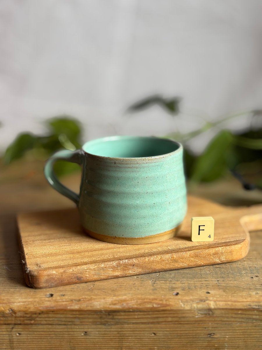 Pottery Mug 