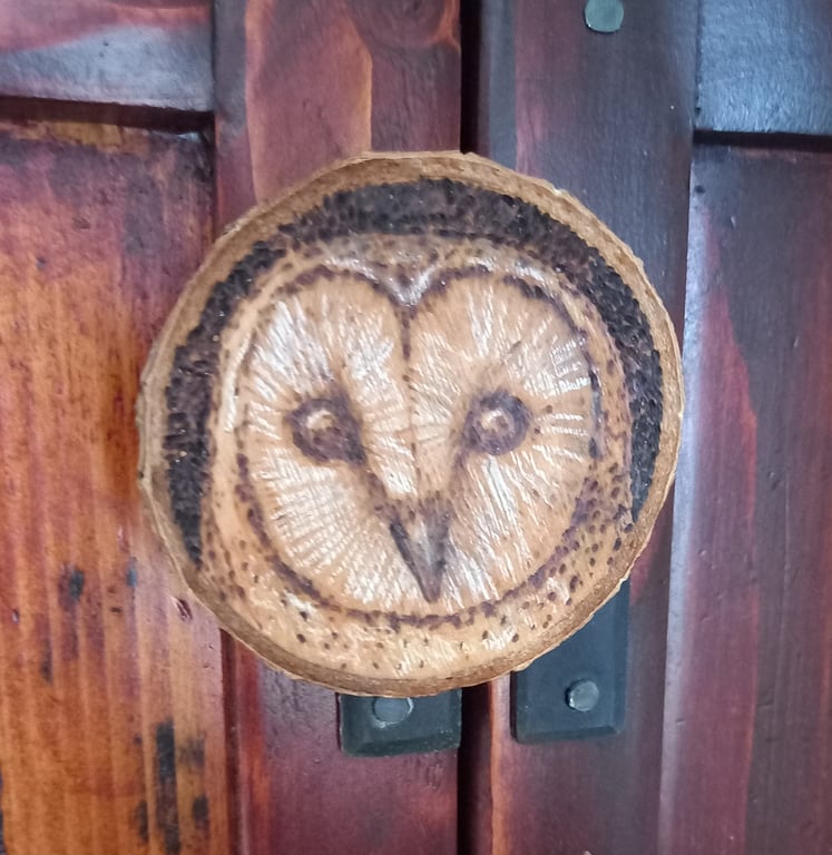 Barn owl pyrography wood slice magnet