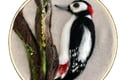 Garden birds