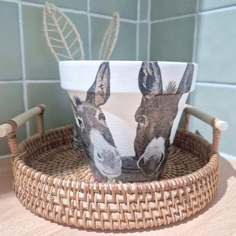 Pretty Donkey Plant Pot