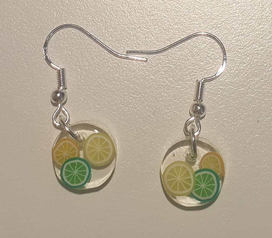 Round zesty resin earrings