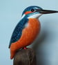 Kingfisher - Image 4