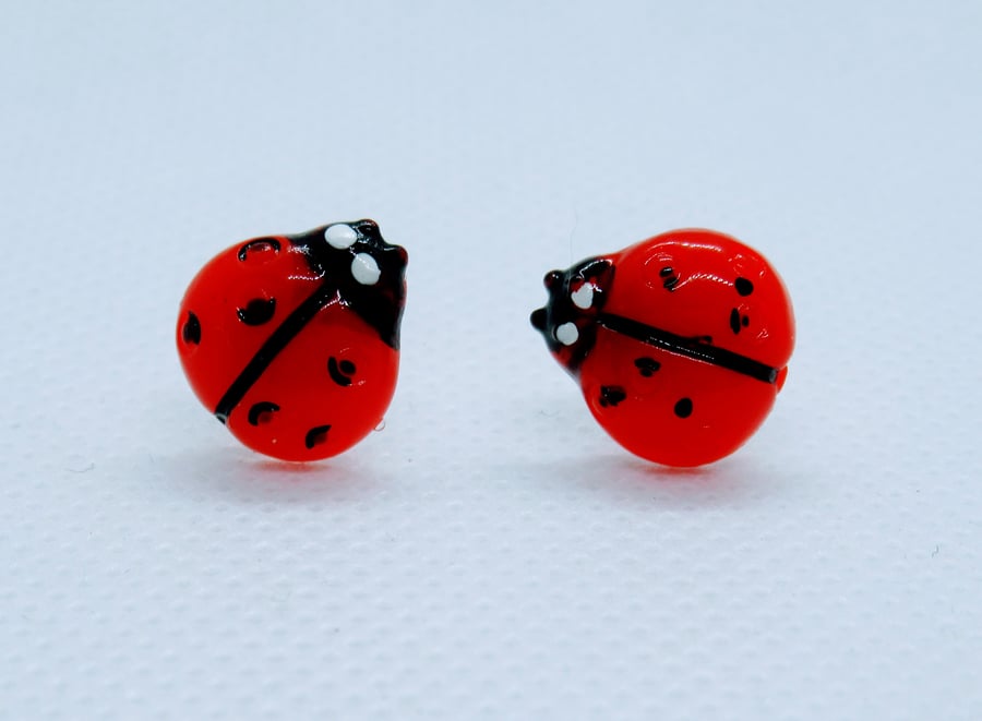 Resin Ladybird stud earrings - lots of colours