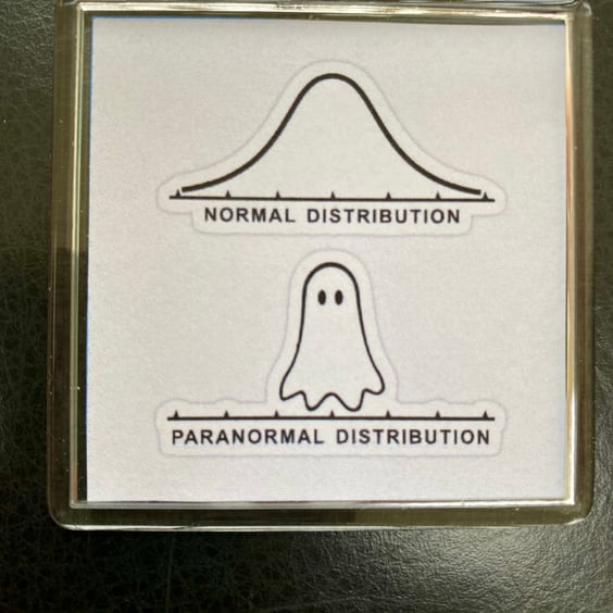 Paranormal Distribution decorative magnet for lovers of statistics!