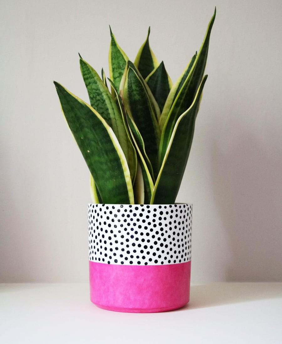 Pink Colour Pop Polka Dot Planter I Height 16cm I Width 15cm
