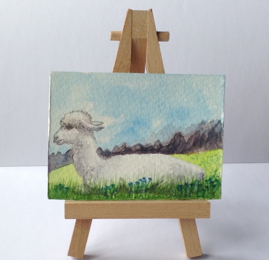 Aceo alpaca original watercolour art
