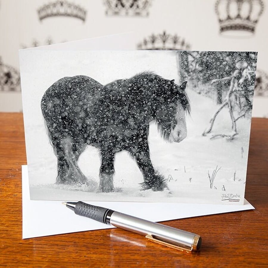 Shire Horse in the Snow Greetings Card - Cute Baby - Blank Inside - Birthday Car