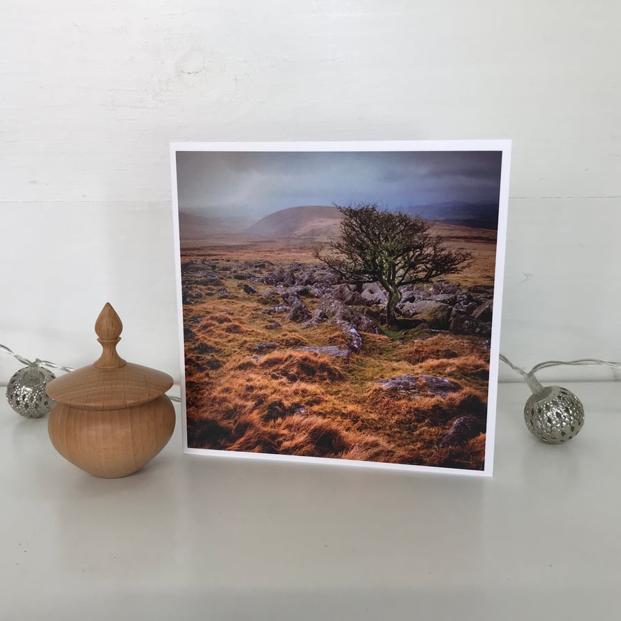 Photographic Greetings Card - Blank Greetings Card - Great Nodden, Dartmoor