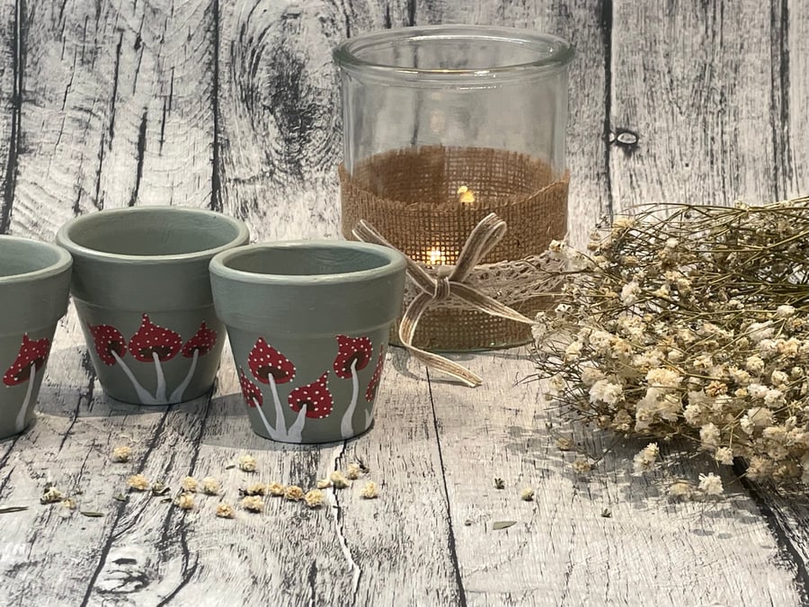 Hand Painted Toadstool Plant Pots