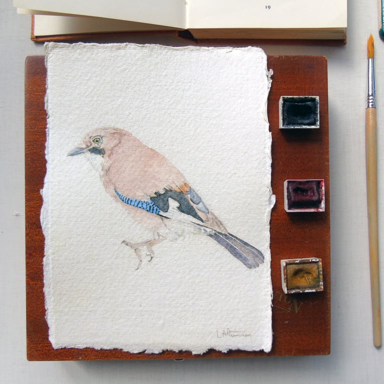Original Watercolour Jay Painting Unframed