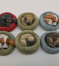 Yorkshire Pudding Dachshund  - Image 5
