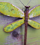 Dragonfly  - Image 3