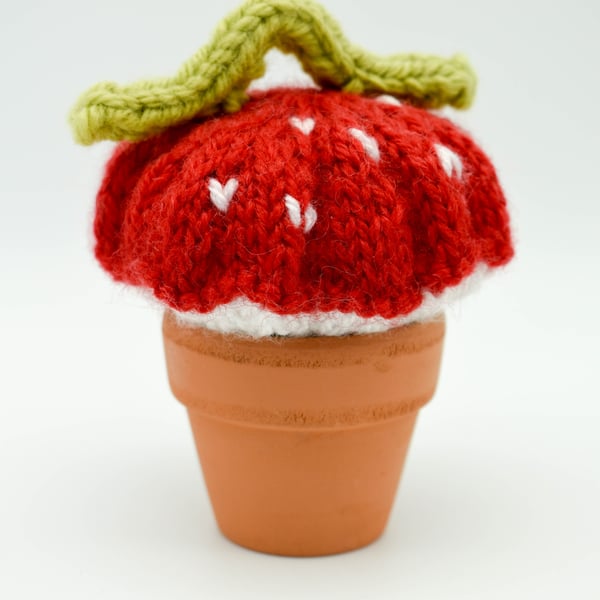 Hand knitted Toadstool and Caterpillar pincushion