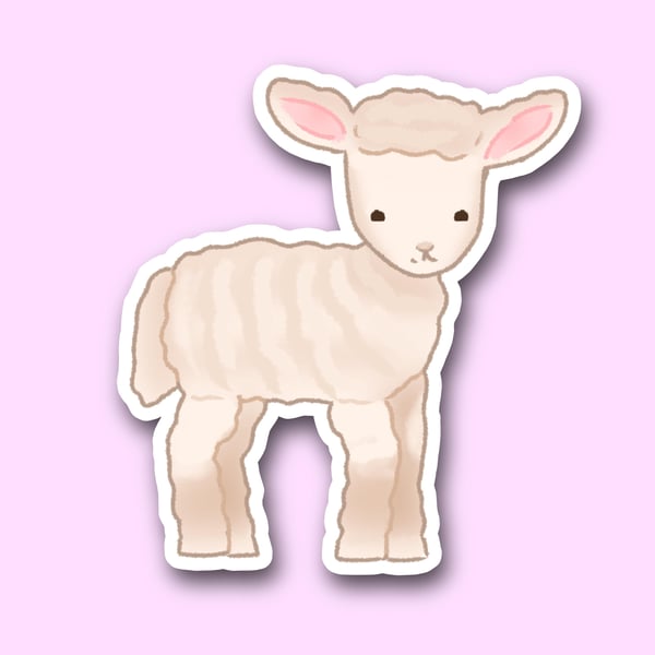 Cute Lamb Sticker - Sticker size 70mm x 77mm 