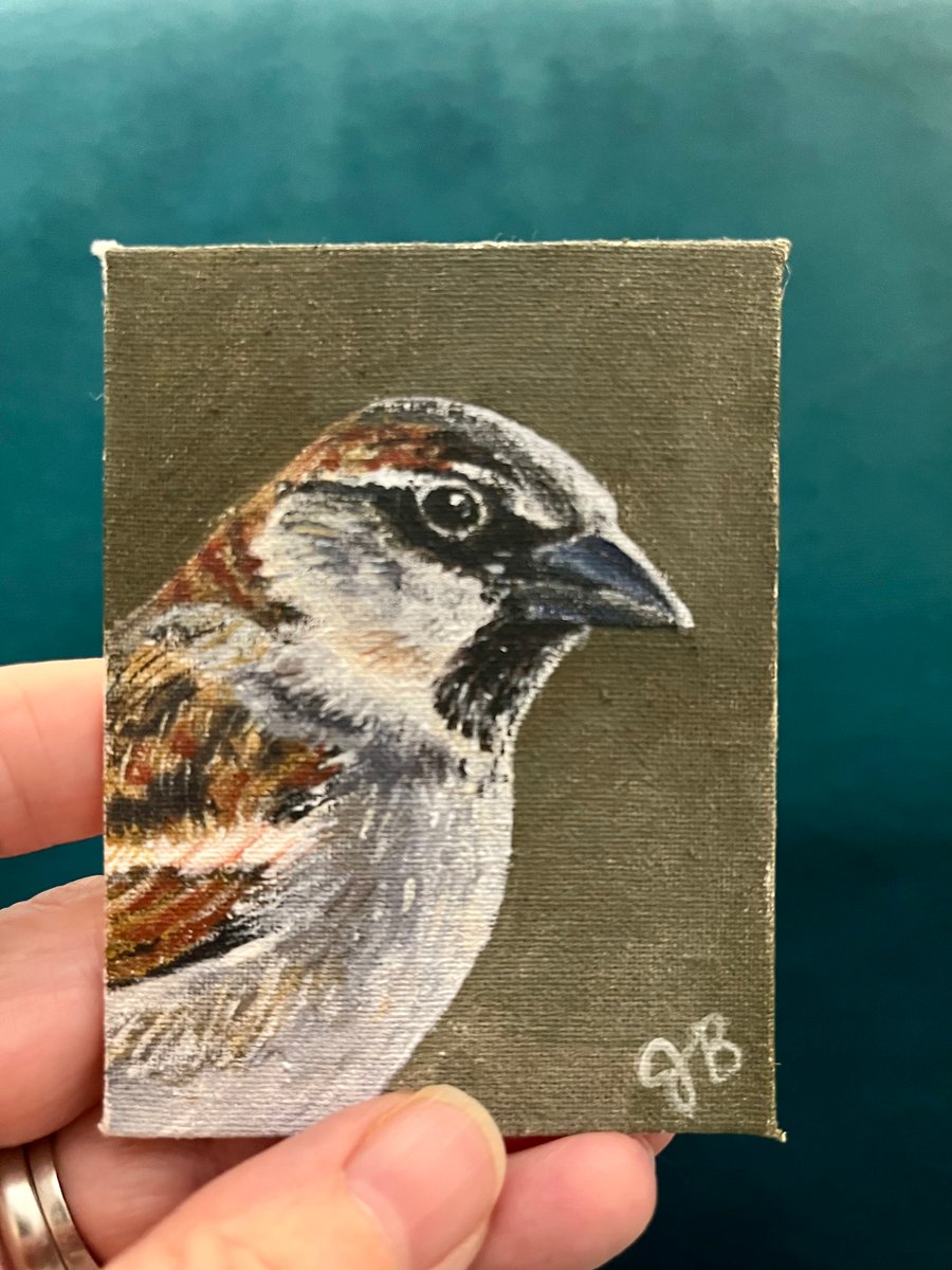  house sparrow bird in profile original painting