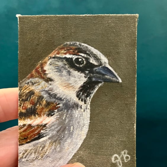  house sparrow bird in profile original painting