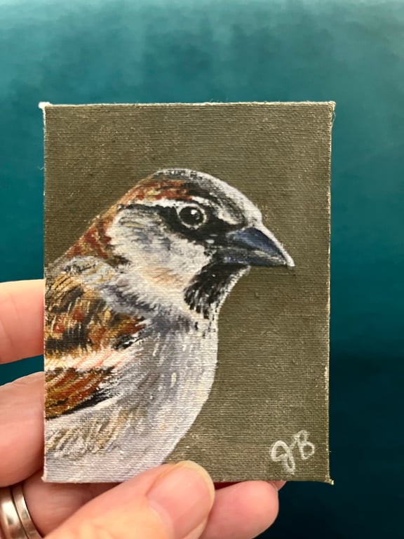 ACEO house sparrow bird in profile original painting