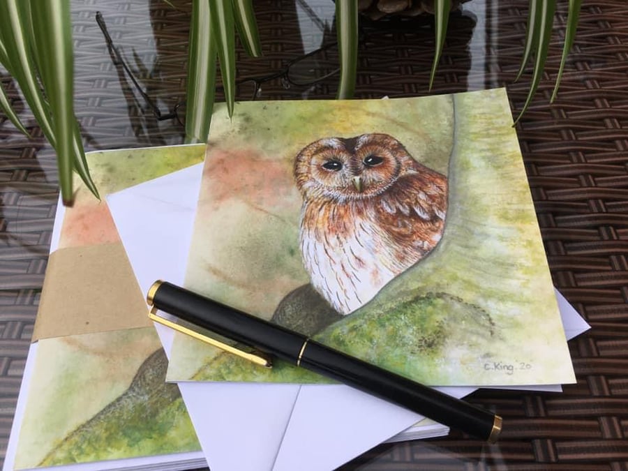 Tawny Owl greetings cards pack of five